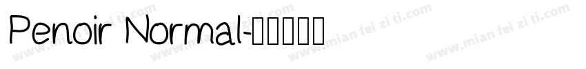 Penoir Normal字体转换